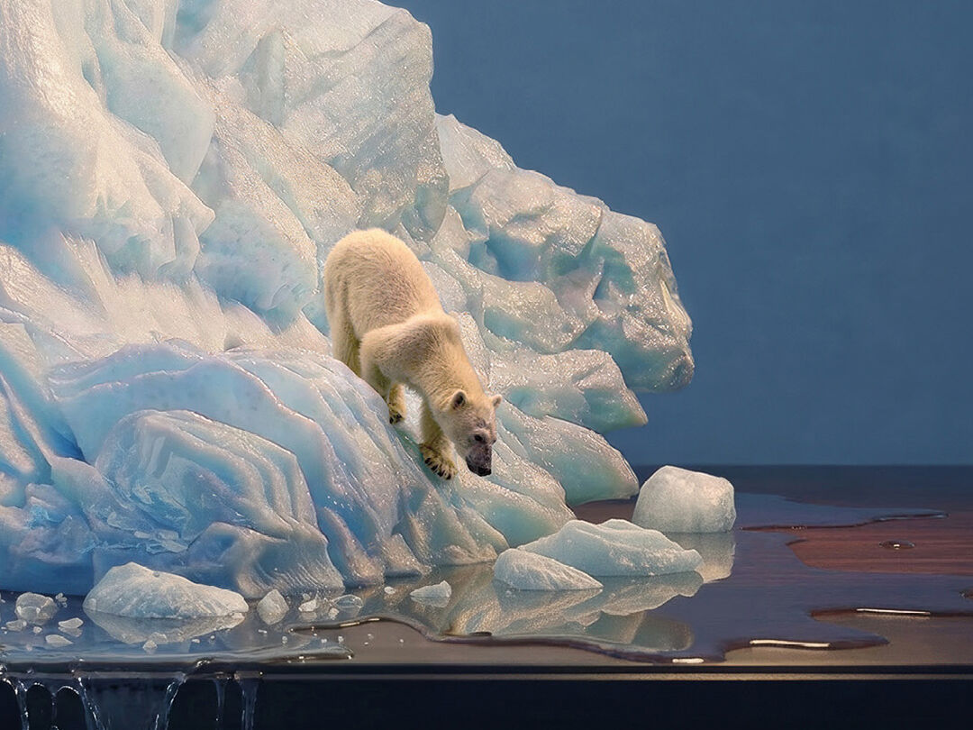 WWF EARTH HOUR 2026